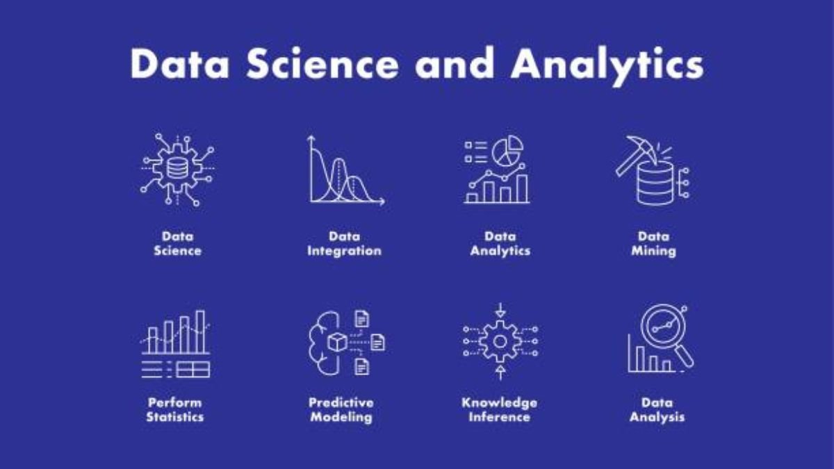 What is a Data Analyst vs Data Scientist? Key Differences